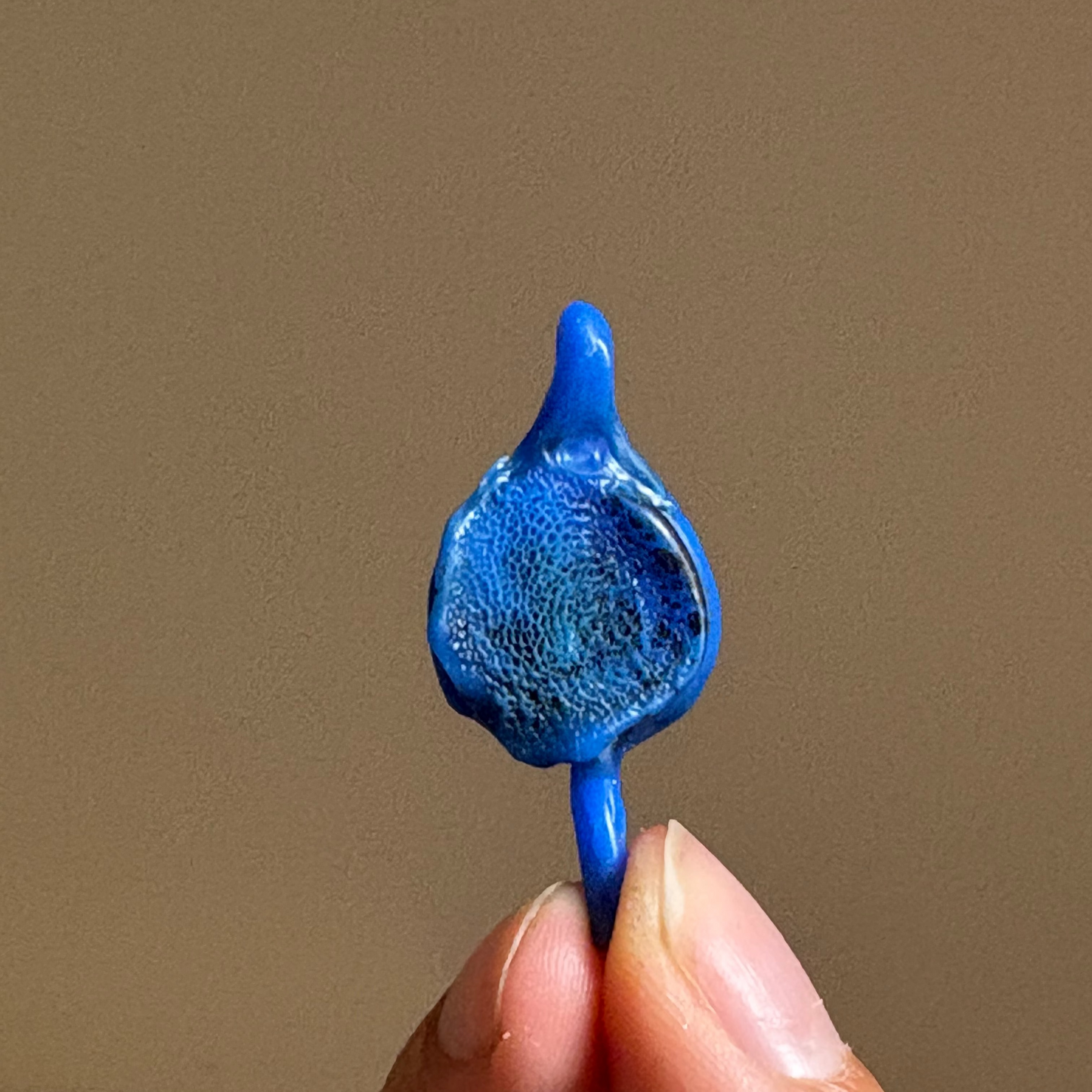 Medalla fingerprint