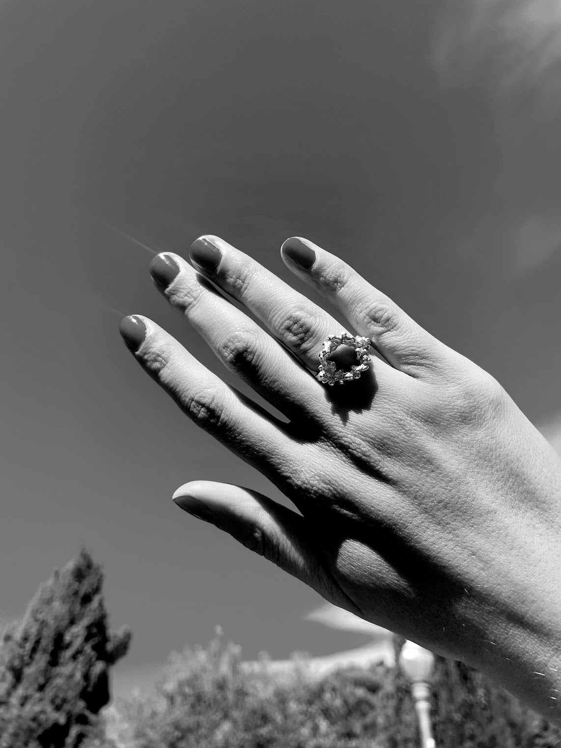 Anillo Ecos del Sol
